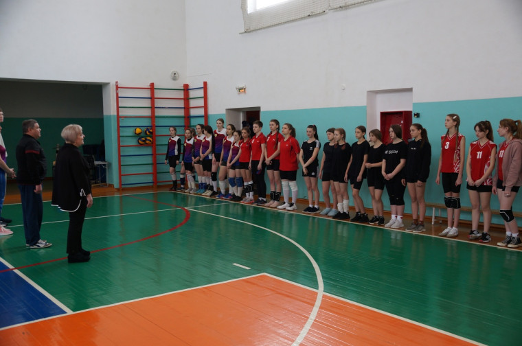 Соревнования по волейболу, посвященные Международному дню 8 марта.